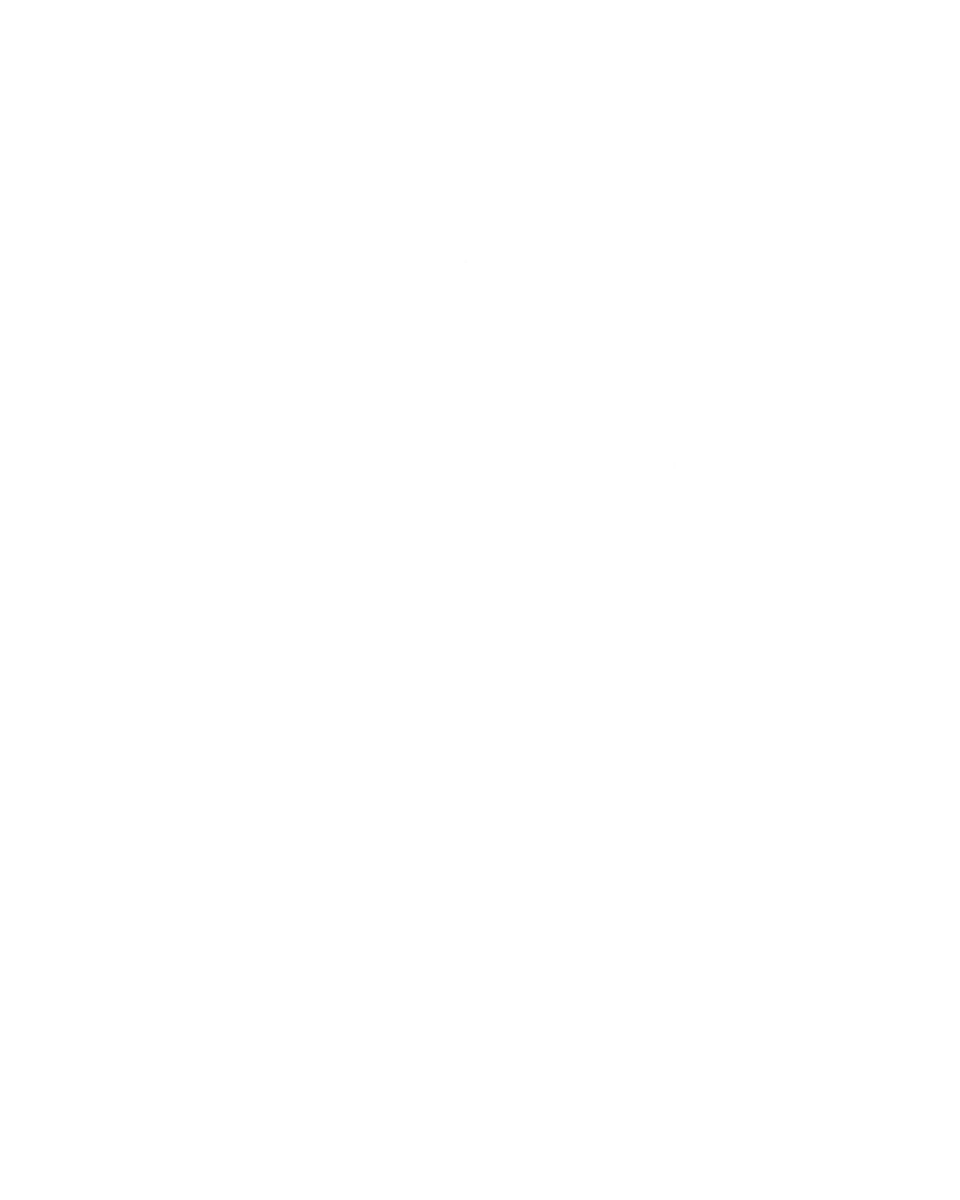 椛